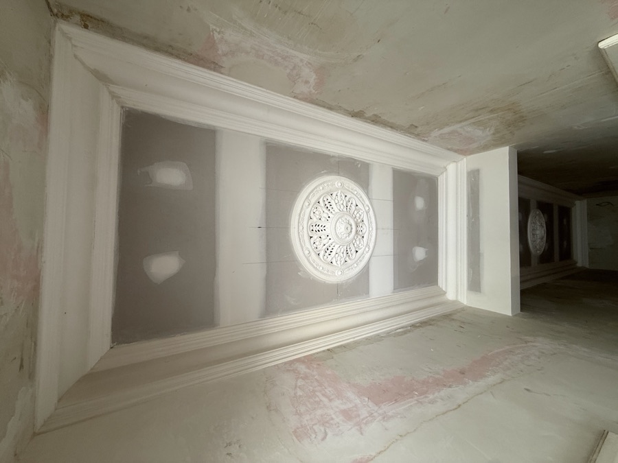Hallway cornice and rose