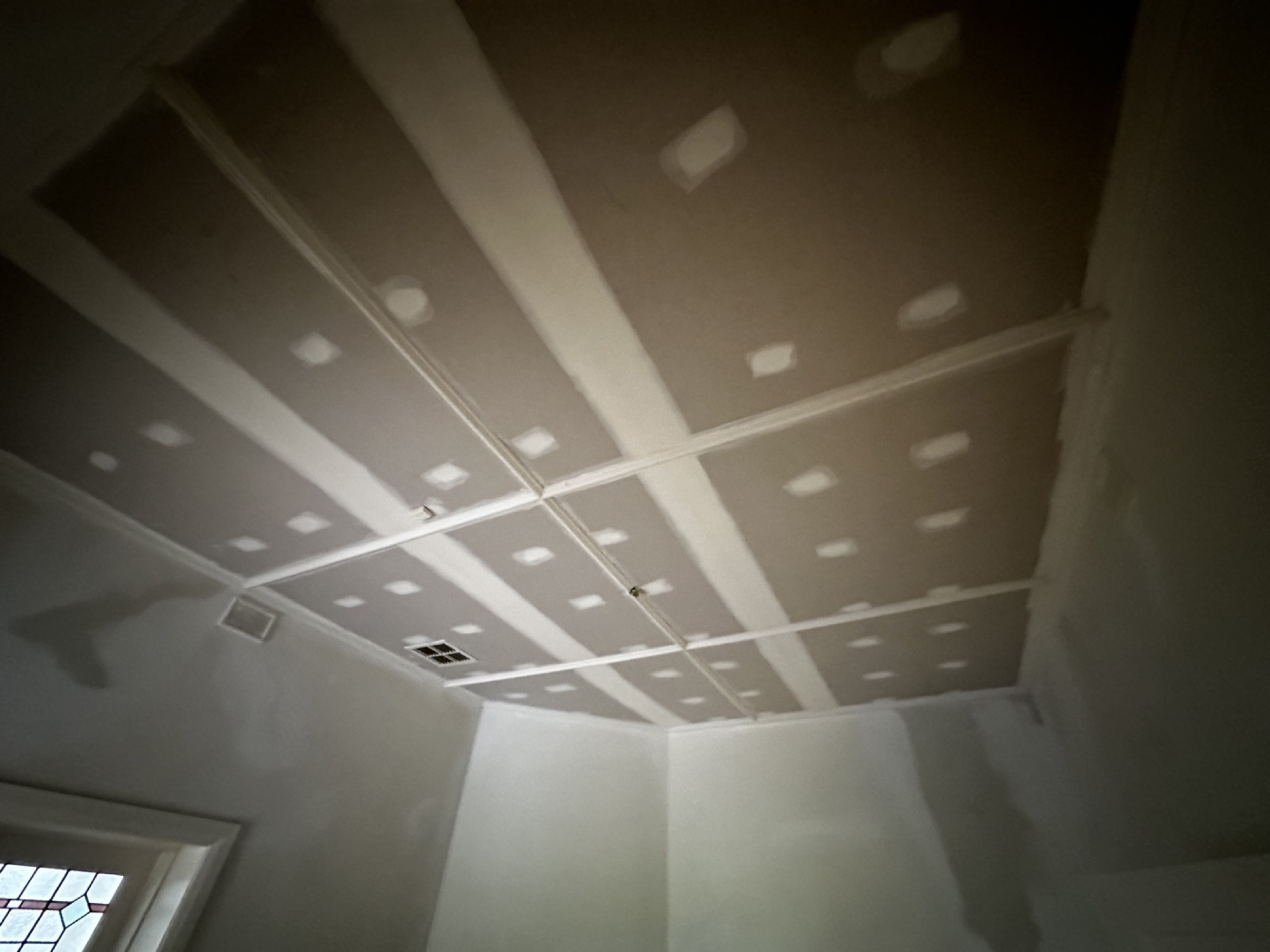 Horsehair plaster