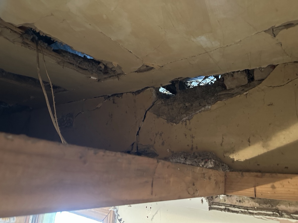 A lath and plaster ceiling that has broken away from the joists.